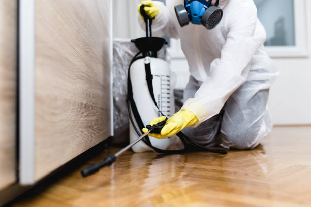 Wasp Removal Services in Canyon Creek, WA