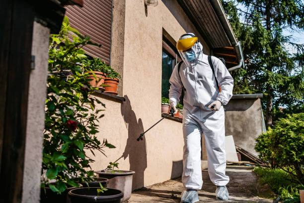 Best Mosquito Control Services  in Canyon Creek, WA