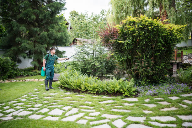 Best Best Pest Control Companies  in Canyon Creek, WA
