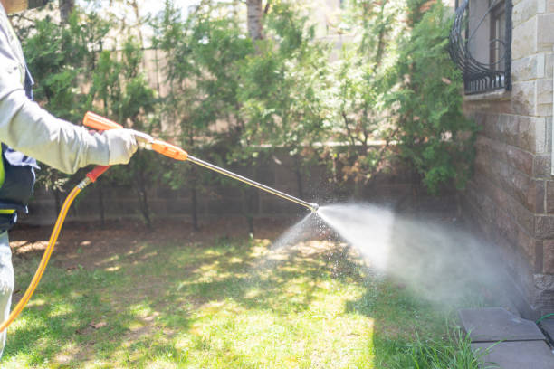 Pest Control for Restaurants in Canyon Creek, WA