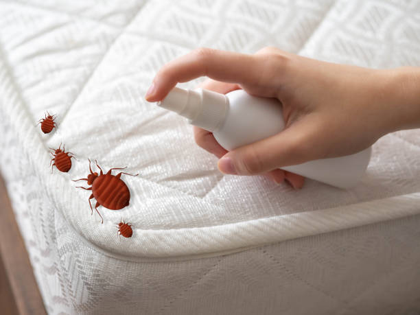 Best Best Pest Control Companies  in Canyon Creek, WA